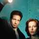 Illustration for article titled emThe X-Files/em